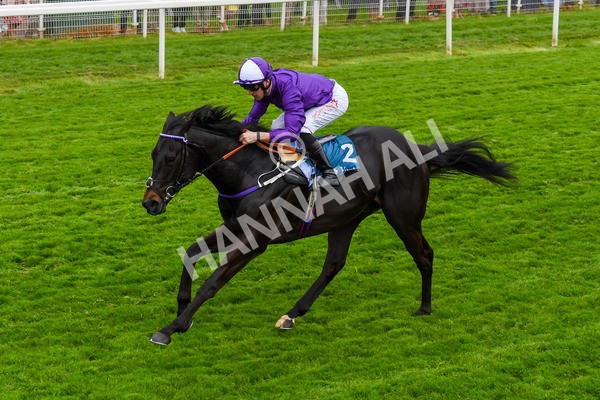 180523-Race 6-Cuban Thunder-0755 - Race 6 4.45pm Frank Whittle Partnership ebfstallions.com Maiden Stakes