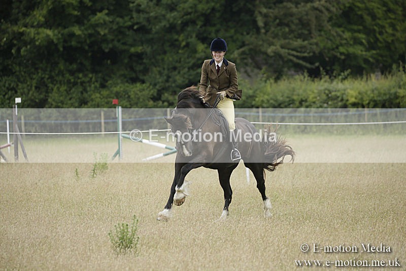B230619-0083 - Bourne Valley Riding Club Summer Show 23/06/19