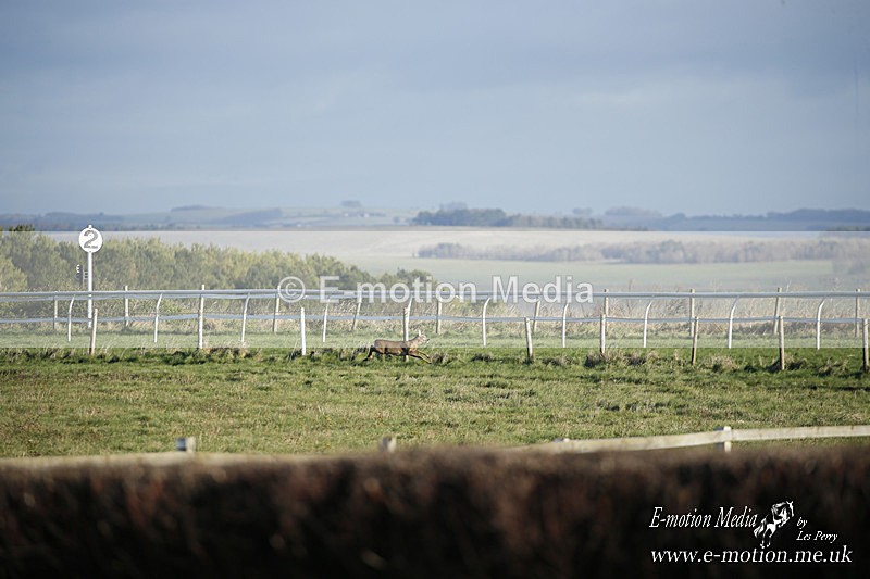 PtP 121220 075 - Avon Vale Races Larkhill 12/12/20