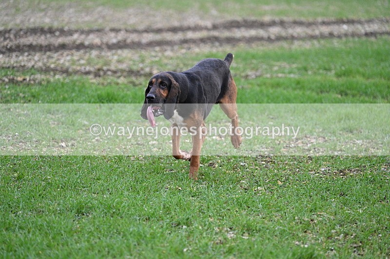 WJ7_0192 - Camera 1 & Last fence