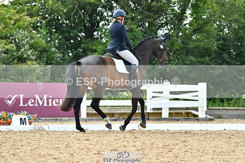 230701A-160331-07313 - Cls 13 Adv Medium 91