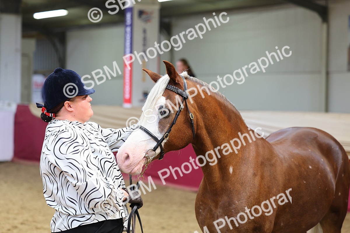 SBM_22905 - Class 903 - Supreme Final - IH Pre Vet