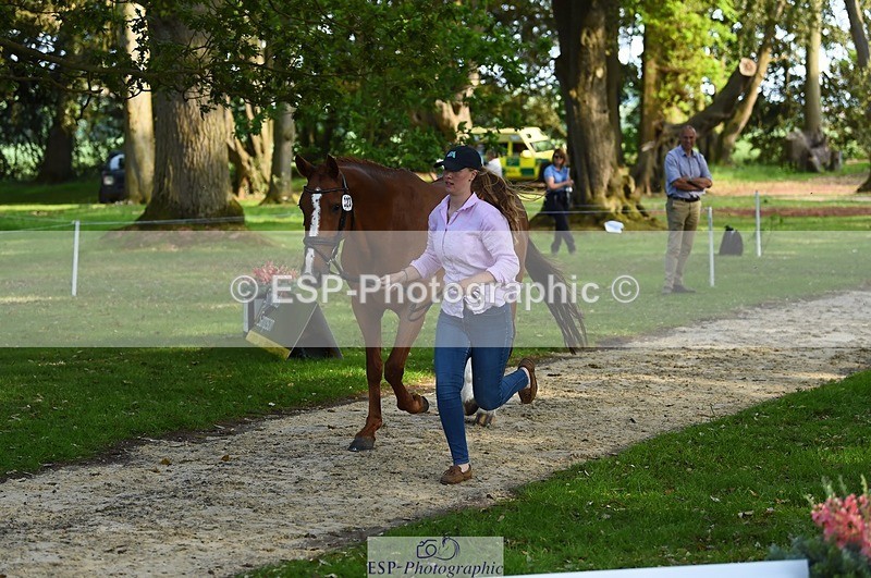 230525-173144-01500 - 323-CHESTNUT_BOBBY-Molly_Fletcher-WEDTrotUp+DR