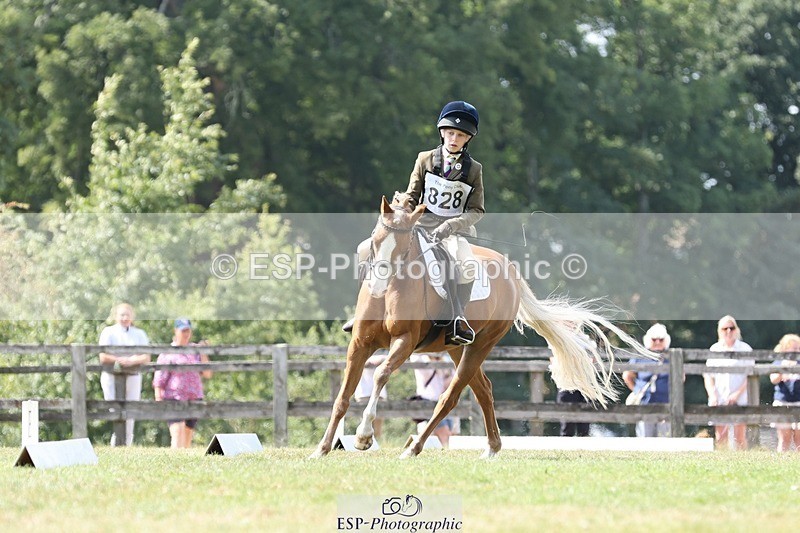 250823A-135608-31401 - Arena D