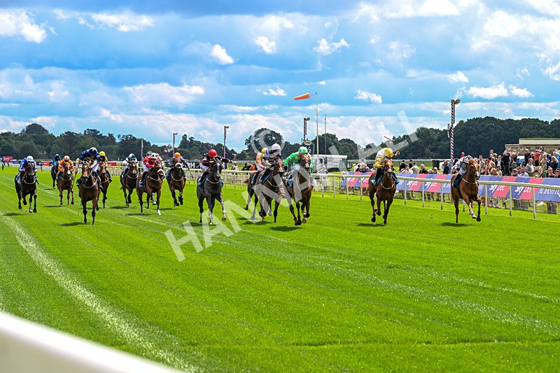 120626-Race 2-Everatease-0099 - Race 2 14.25pm Constant Security Keeping York Racegoers Safe Rous Selling Stakes