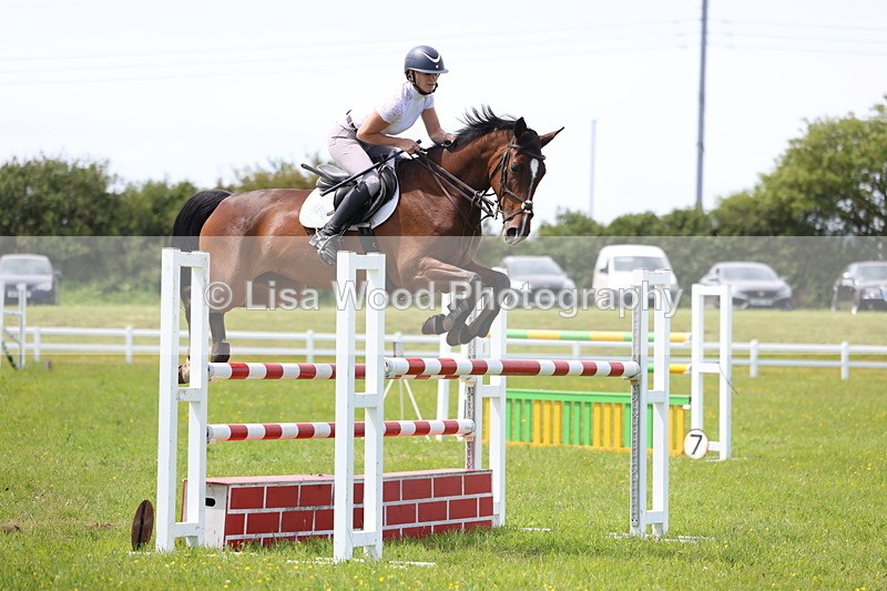 3E7A1406 - Class 12: Senior Foxhunter/1.20 open