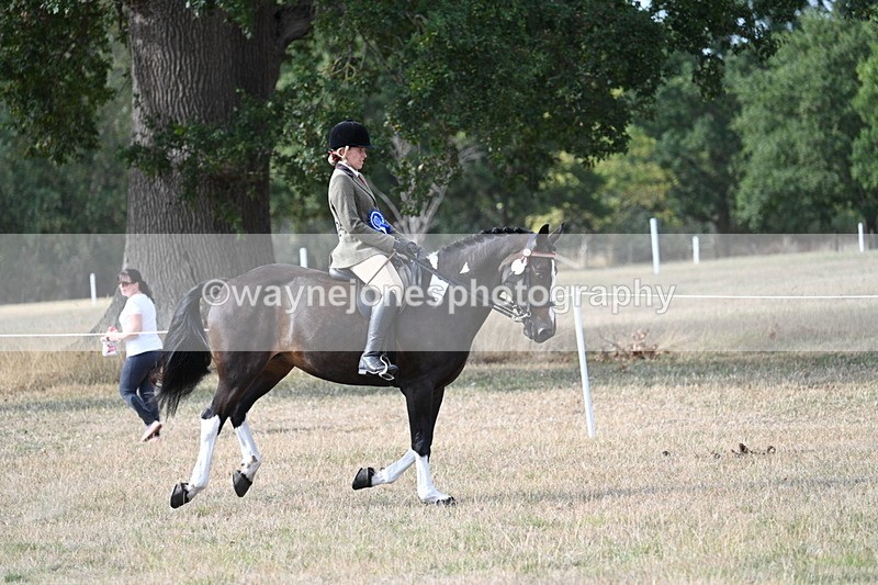 WJ7_7669 - Ridden Championship