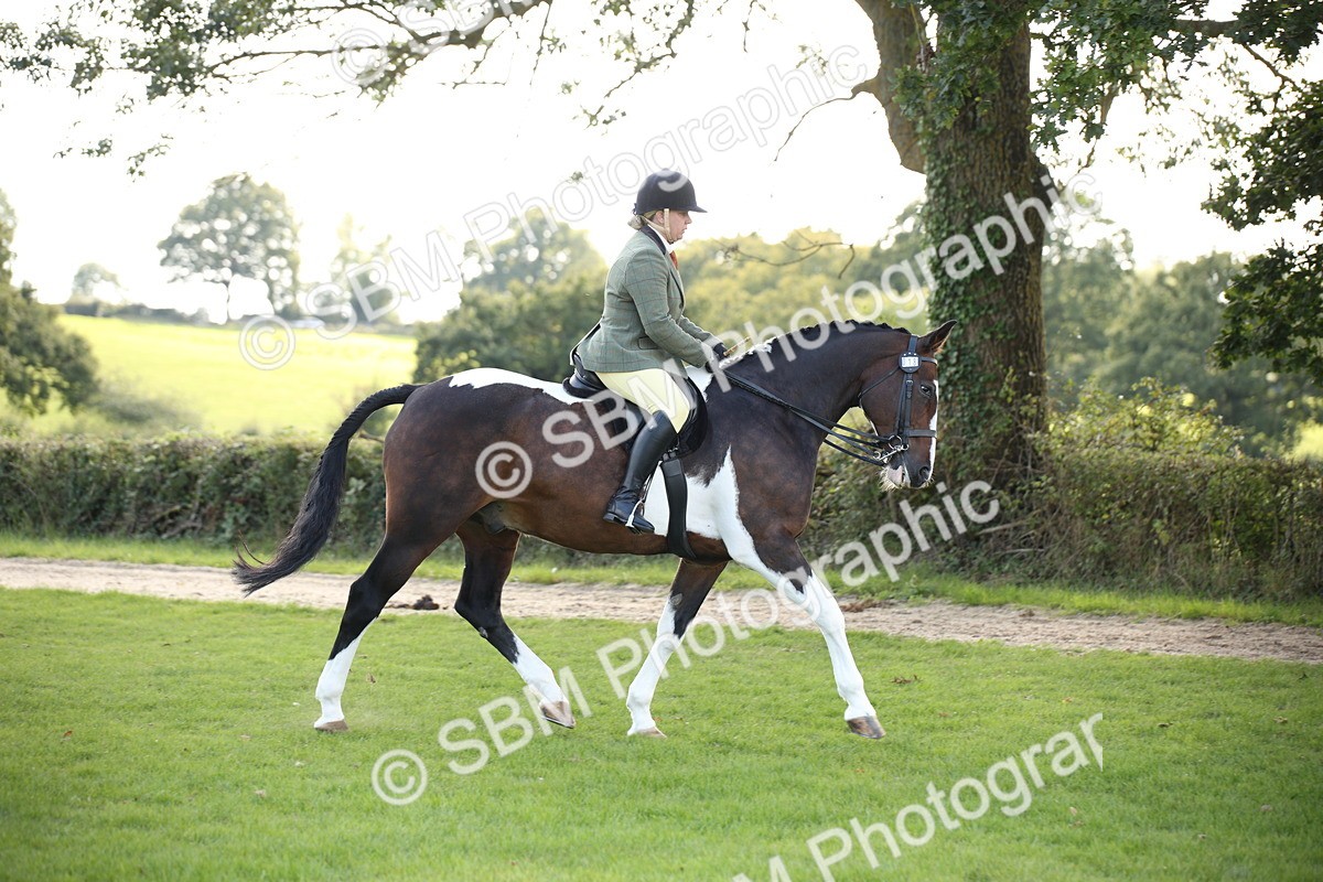 SBM_50108 - S26 - Young Veteran - Ridden