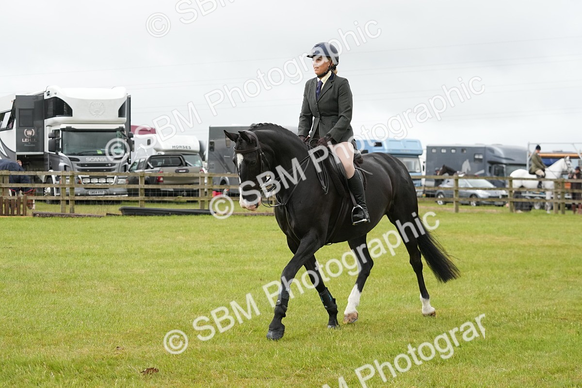 SBM_12569 - Class 97-98 - LIHS BSHA Rising Star Working Show Horse Hunter