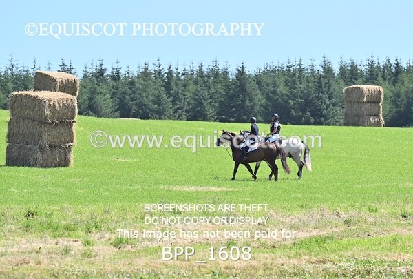 BPP_1608 - THU CLASS 3 Scottish Branch North West Junior Championship **Viewing/Selection class for 148 teams**