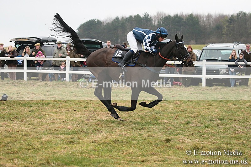 PtP 170219 -118 - Combined Services Point-To-Point Larkhill 17/02/19