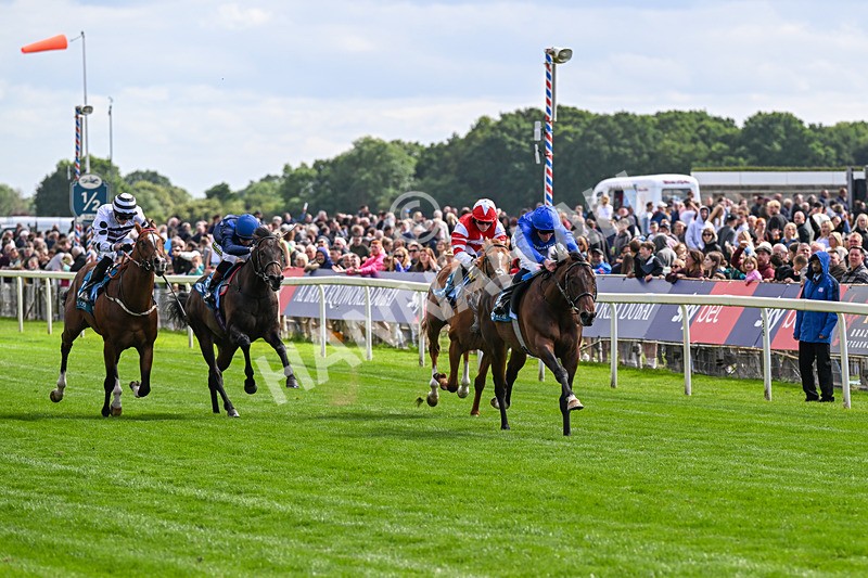 130626-Race 5-Inner City Blues-0574 - Race 5 16.15pm Tomahawk Restaurants Supporting Macmillan EBF Maiden Stakes