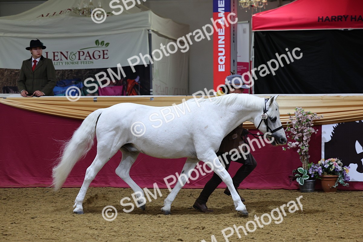 SBM_19425 - Class 901 - Supreme Final - IH Diamond