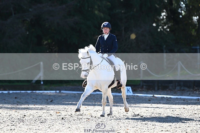 231110-113755-00485 - Cls 2 Prelim 17(a)Q