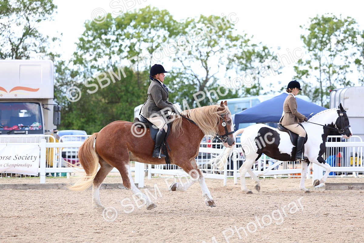 SBM_17144 - Class 315 - Best Horse - Rider Combination