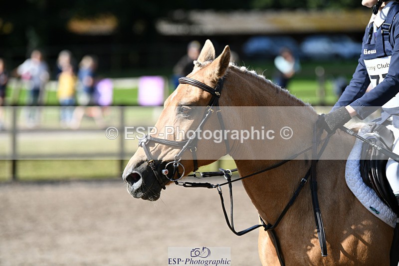 240825X-093340-30796 - 70cm SJ 9.15 to 10.21