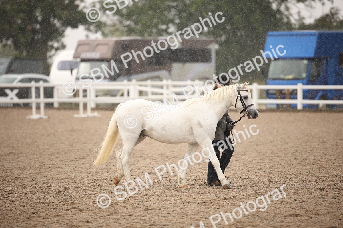 SBM_20663 - Class 705 - IH  Combination 65+