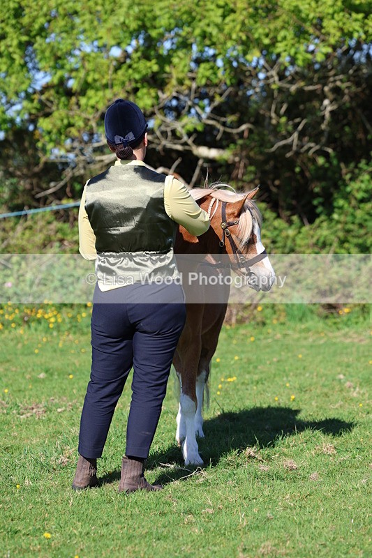 3E7A8404 - Class 12: M & M Small Breeds