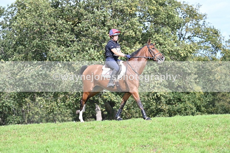 WJ7_2002 - Time 13:17 to 13:53