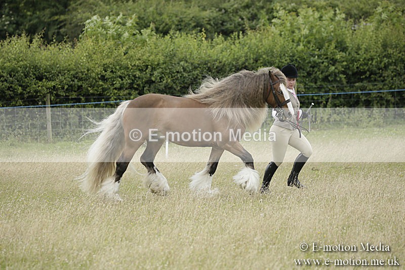 B230619-0863 - Bourne Valley Riding Club Summer Show 23/06/19