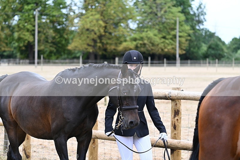 WJ7_9090 - Class 4a Prettiest Mare 14.2hh and over