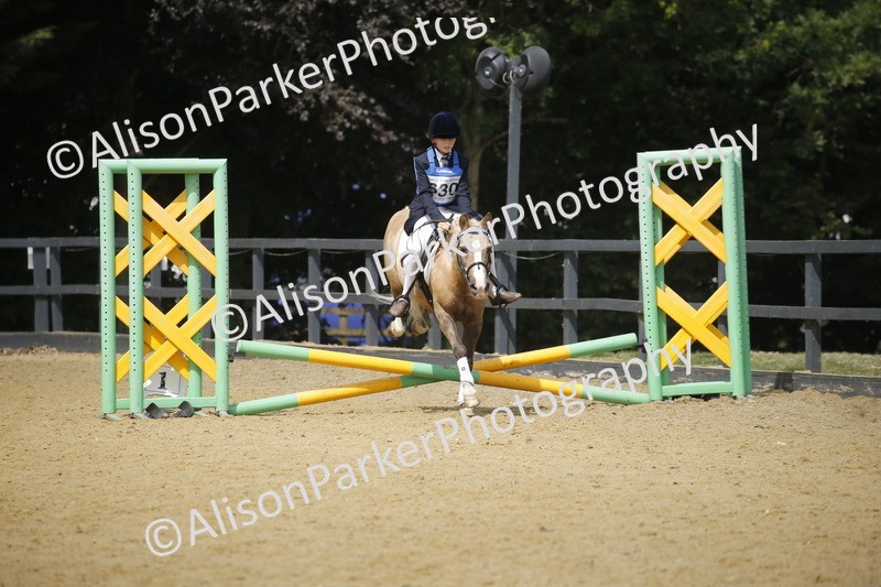 20250622-3928 - 50cm