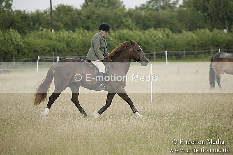 B230619-0183 - Bourne Valley Riding Club Summer Show 23/06/19