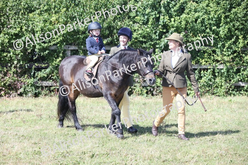 20250831-3155 - Class 24 - Absolute Beginners Pony