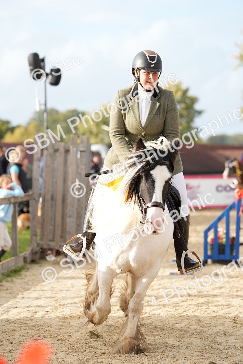 SBM_29258 - J43 - Horse & Hound Open 50cm