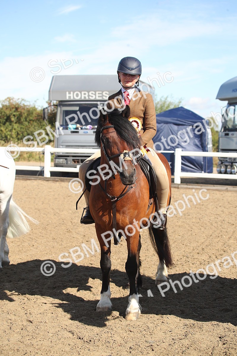 SBM_12785 - Class 504b - Junior Working Veteran - 40cm (20+)