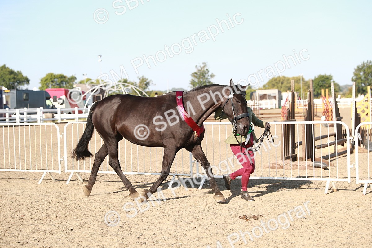 SBM_00175 - Class 40 Best Turned Out IH