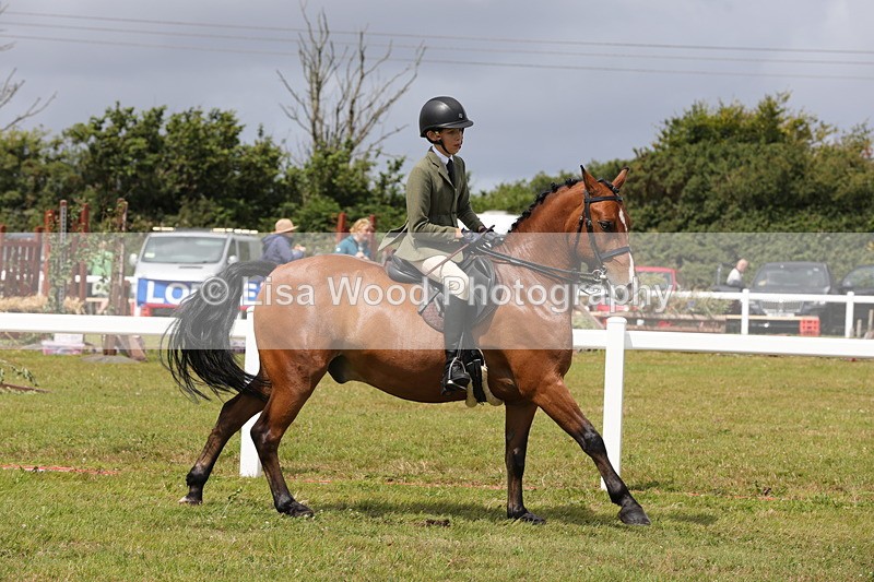 1X9A4231 - Plaited Ridden Championship