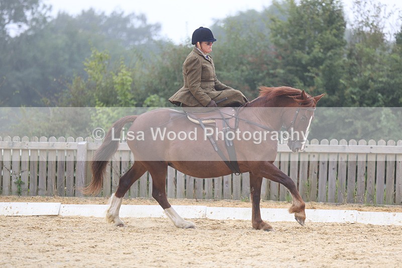 3E7A6880 - Class 5: Prelim to Music