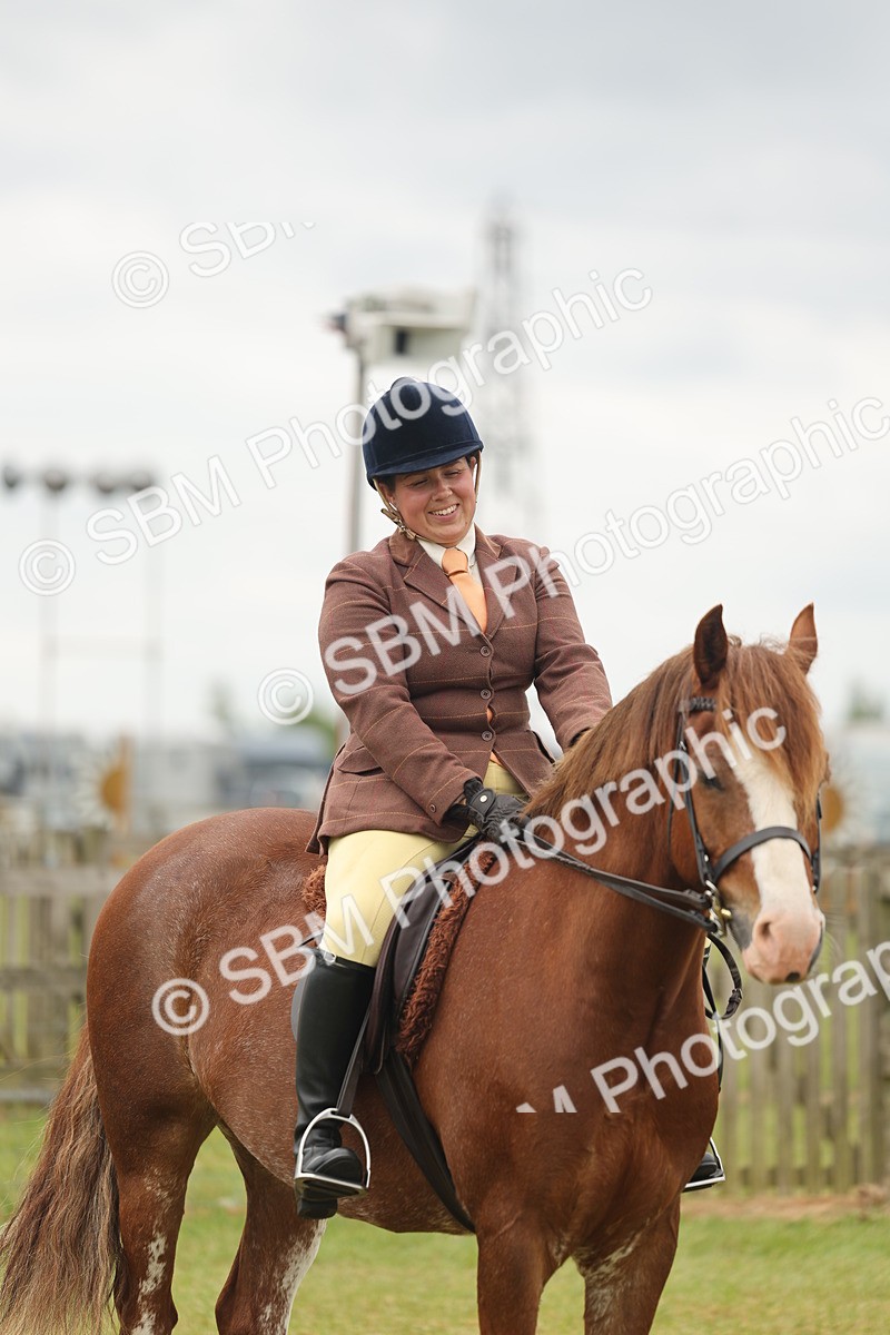 SBM_07232 - Class 76-77 - Ridden M&M Welsh Ponies