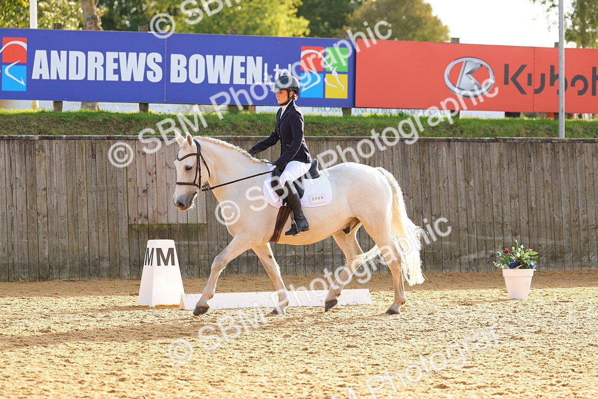 SBM_54350 - D12 - Small Tour Championship - Prelim 18