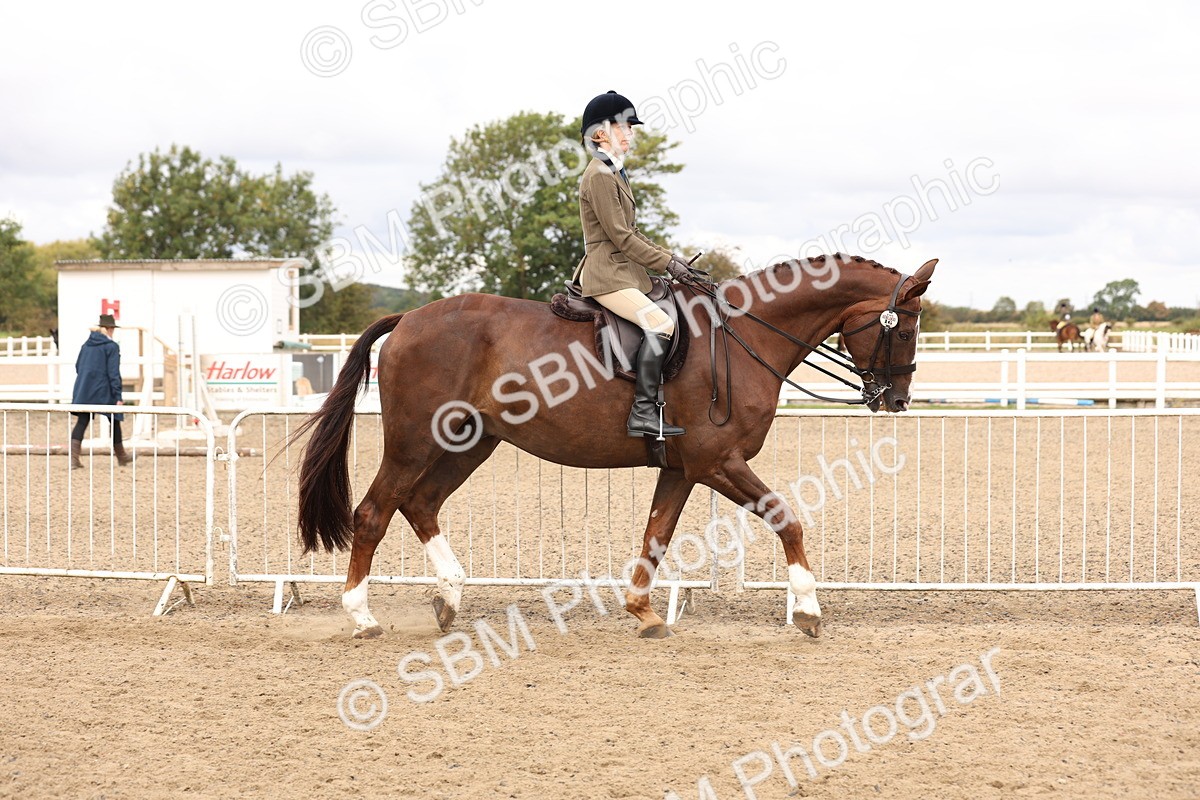 SBM_02808 - Class 53 - Ridden Competition Horse/Pony