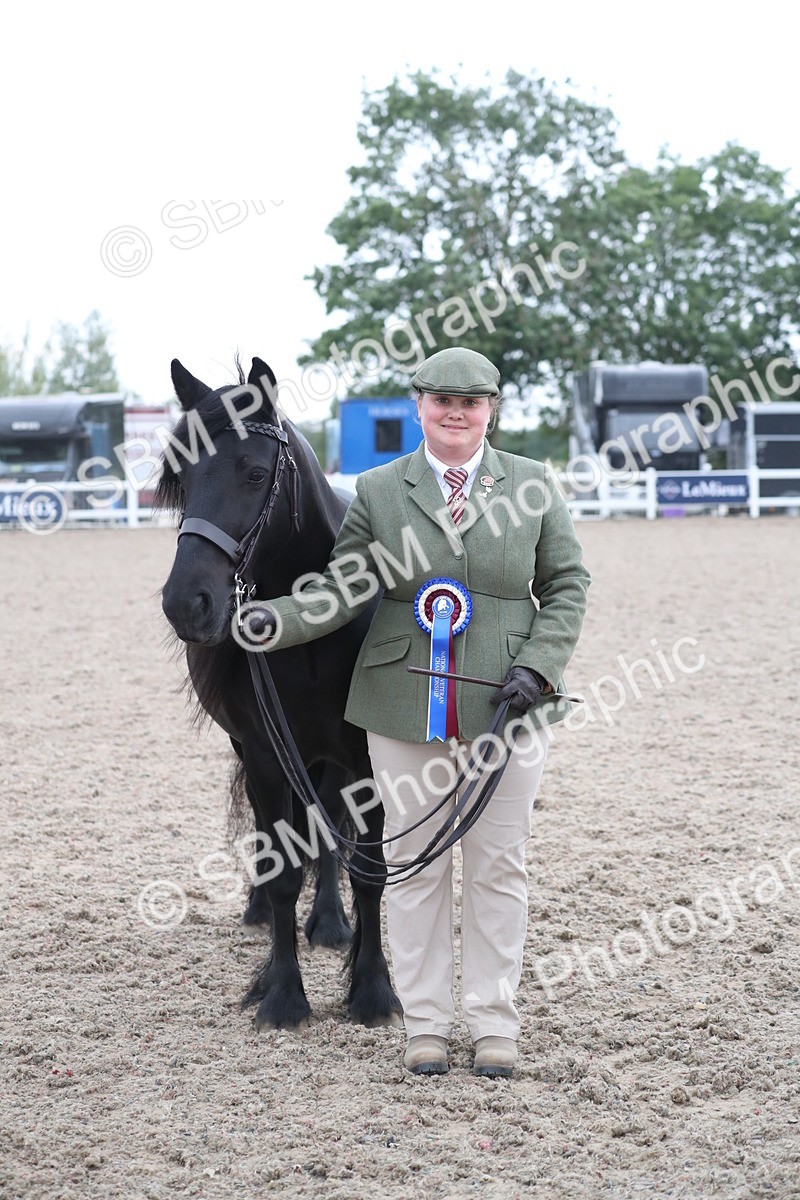 SBM_18005 - Class 317 IH Pure bred Horse/Pony