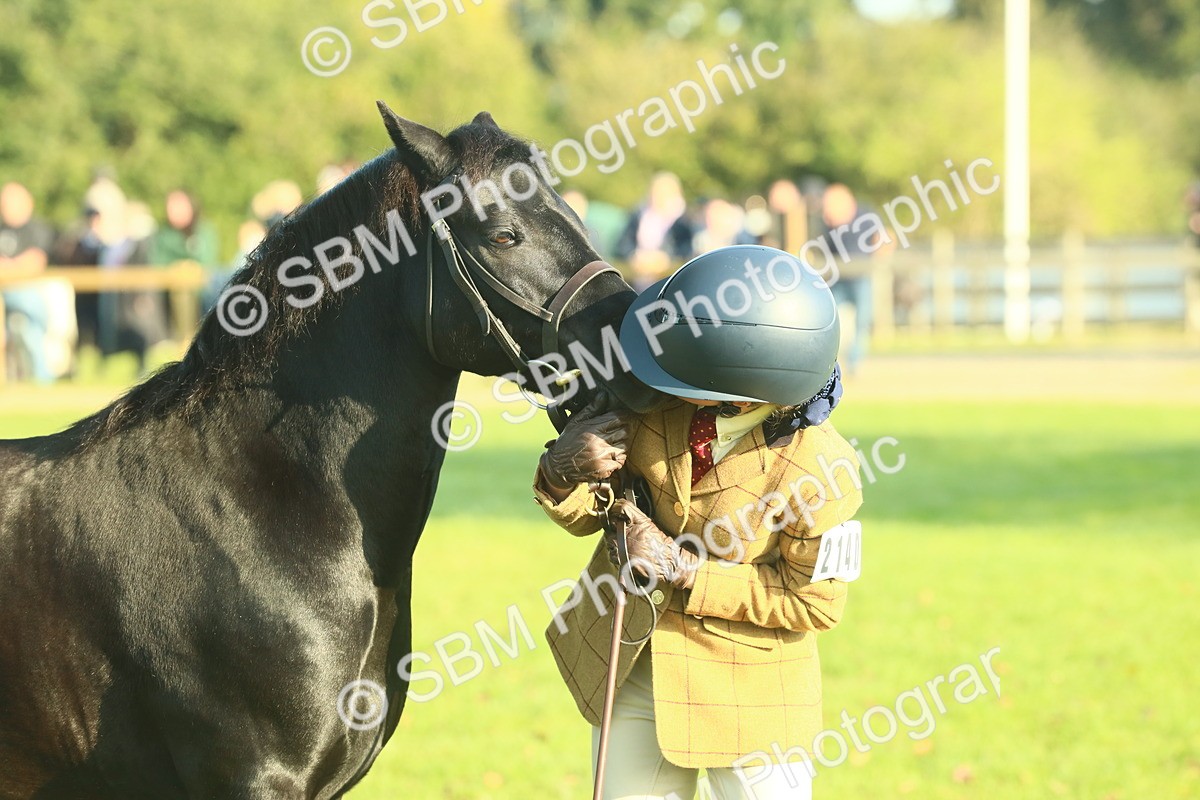 SBM_58452 - S37 - Starters In Hand Showing