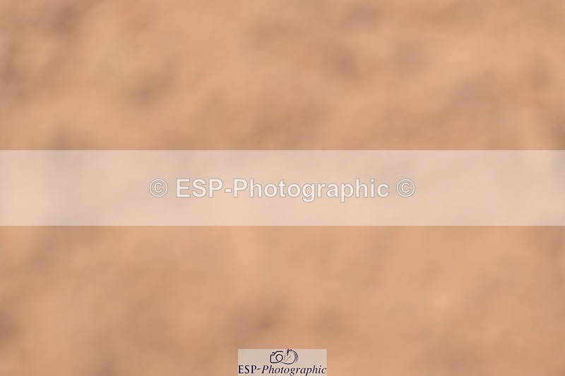 260426-121140-18916 - Cls 32, 1 Star 6 Year Old Final