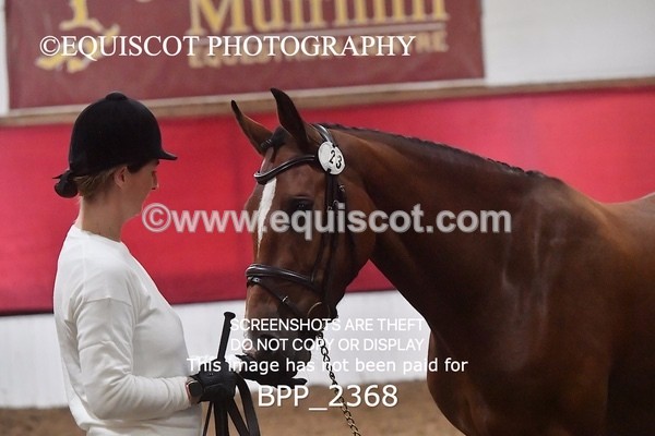 BPP_2368 - AFTERNOON 12.30 - 3.30PM