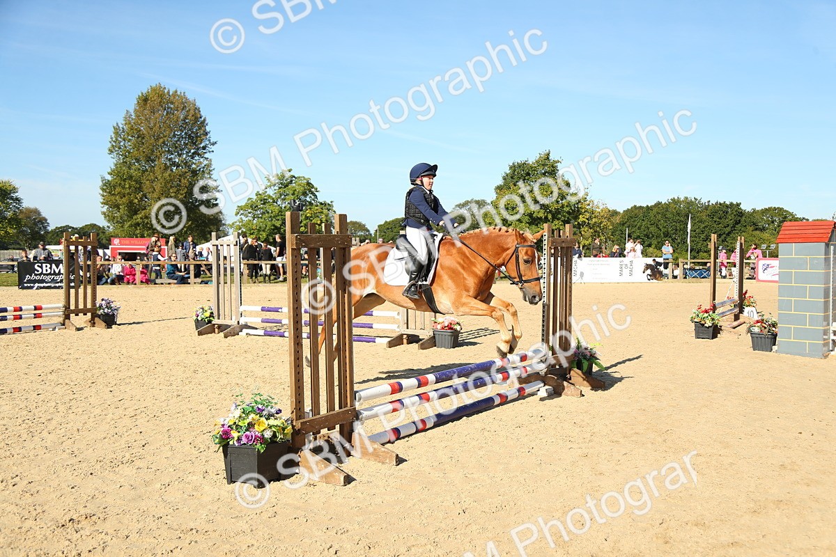 SBM_36006 - J5 - Junior Pony 50cm Championship