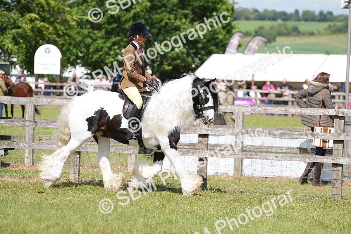 SBM_17114 - Class 107-108 - LIHS BSPS Performance Coloured Horse Pony