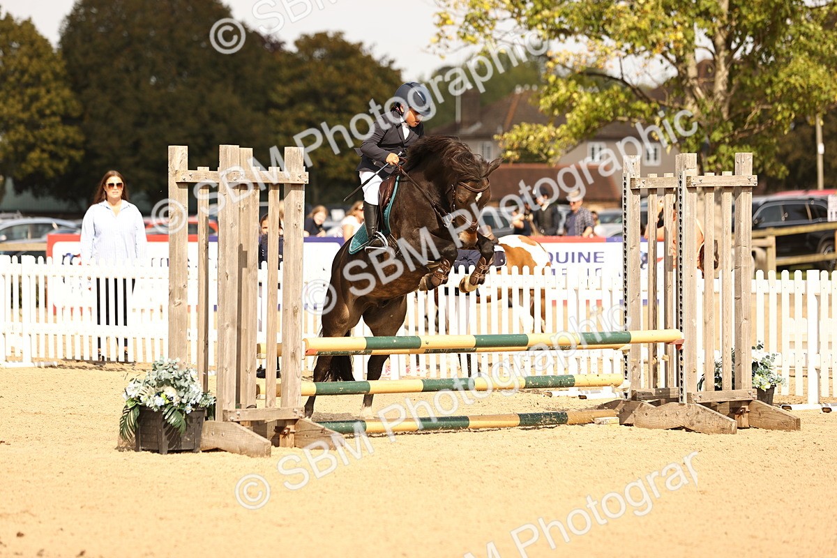 SBM_67088 - J13 - Junior Pony 60cm Championship