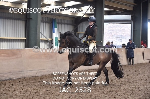 JAC_2528 - CLASS 3 Intermediate Working Hunter
