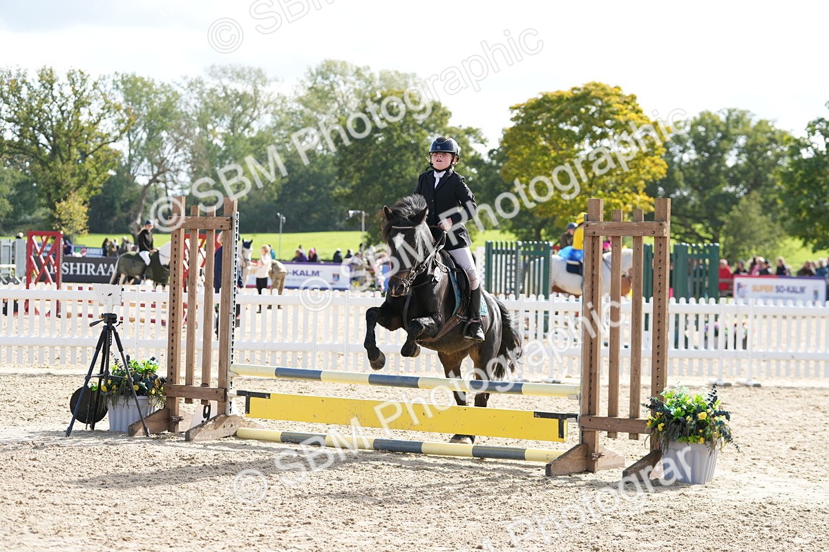 SBM_48450 - J7 - Junior Pony 60cm Championship