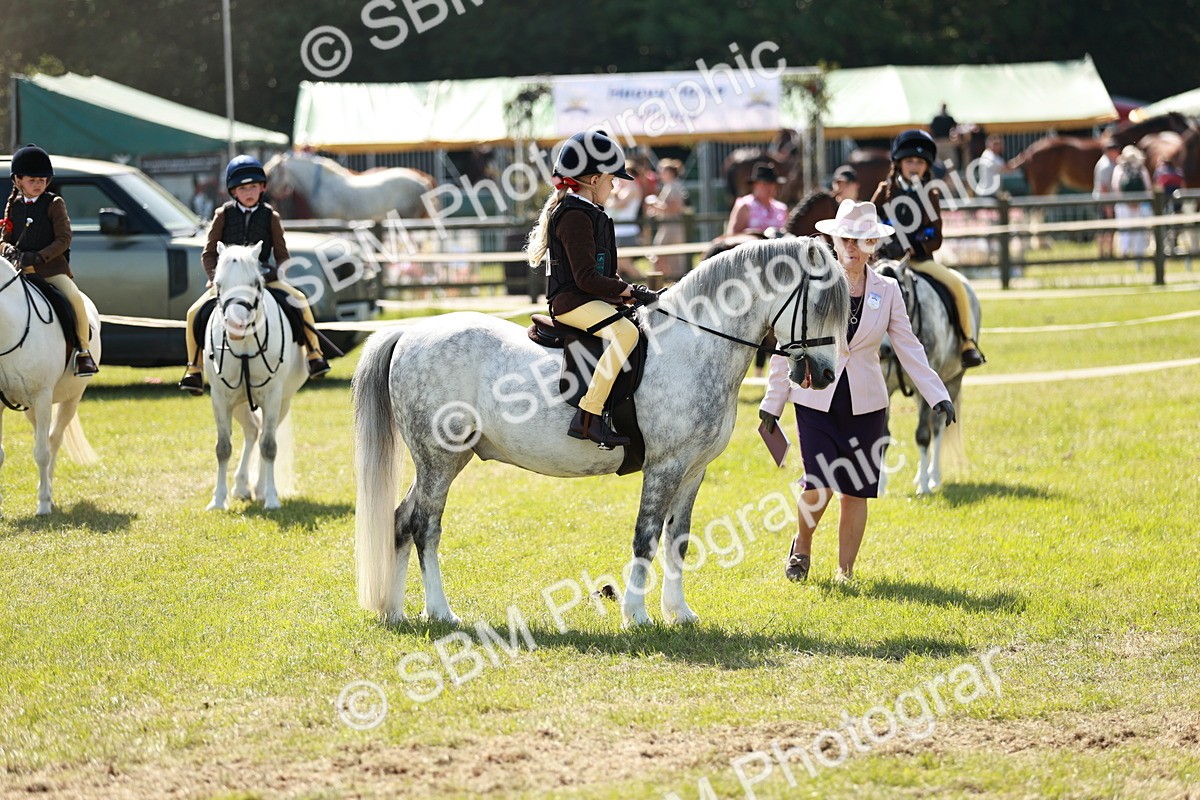 SBM_12770 - Class 106-107 - BSPS LIHS Working Sports Pony