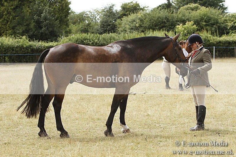 _BS_0971 - BVRC Show 2018 Ring 3