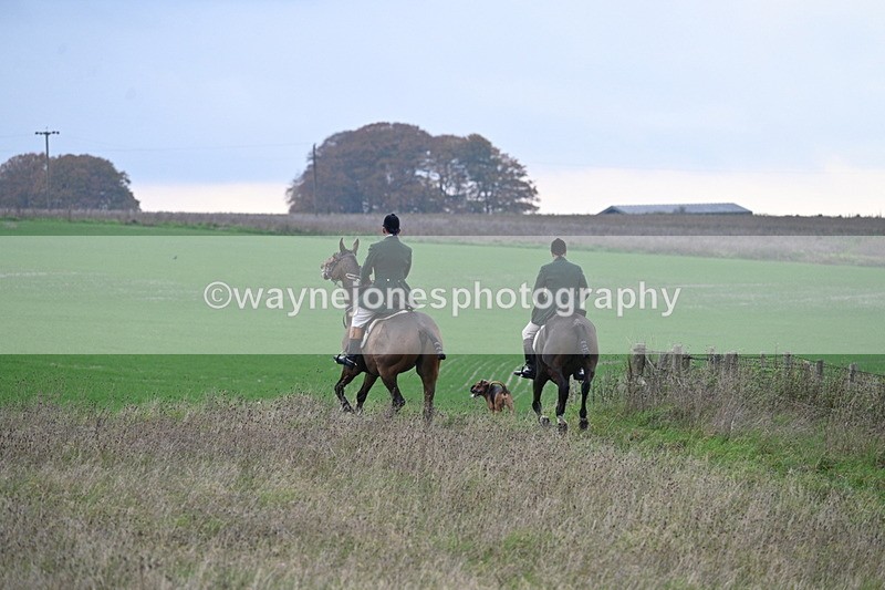 WJ7_9873 - Camera 1 & Last fence