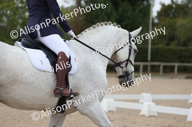 20250820-0313 - Class 11 - My Quest Novice 3