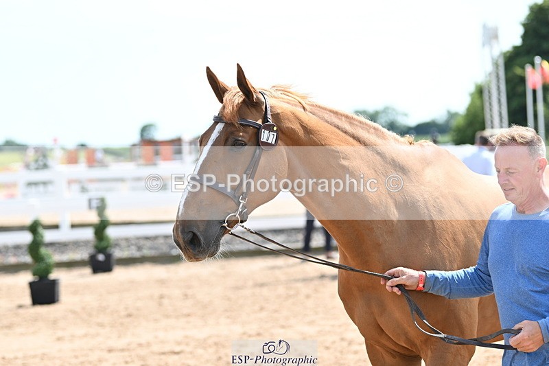 240717A-150701-02557 - Trot Up 3pm to 4pm